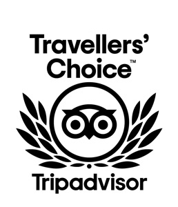 Logo Tripadvisor Traveler Choice