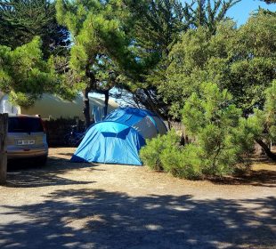 Camping-Club Mahana: Bare Pitch 4 (1)
