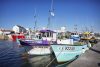 Camping Club Mahana : Port De Pêche St Gilles Croix De Vie A