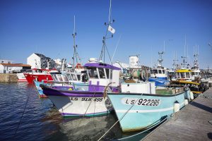 Camping Club Mahana : Port De Pêche St Gilles Croix De Vie A