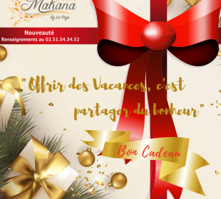 Camping Club Mahana : Bon Cadeau Noel Instagram