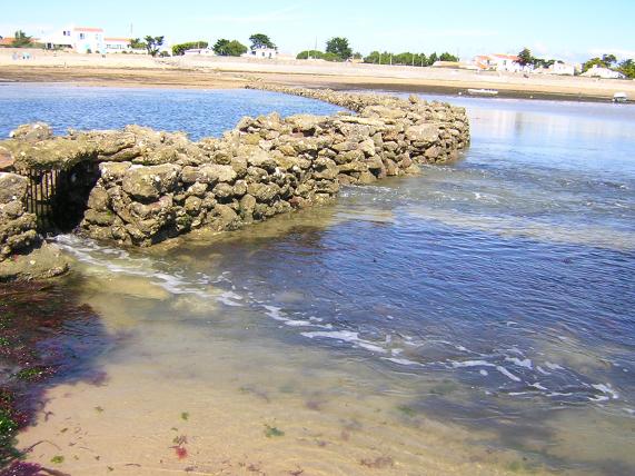 Camping Club Mahana : 2a5182a3276eec45e0f30d7e4237a659