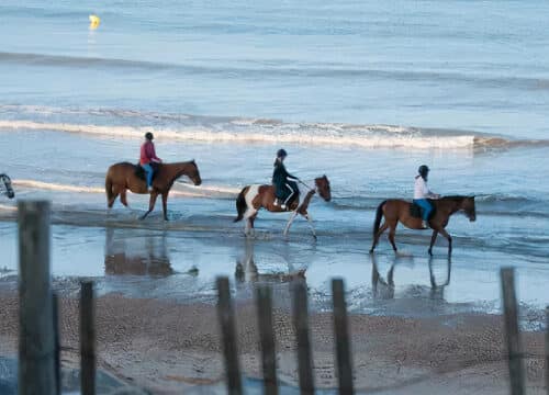 balade plage 04 xl 1 auto x2