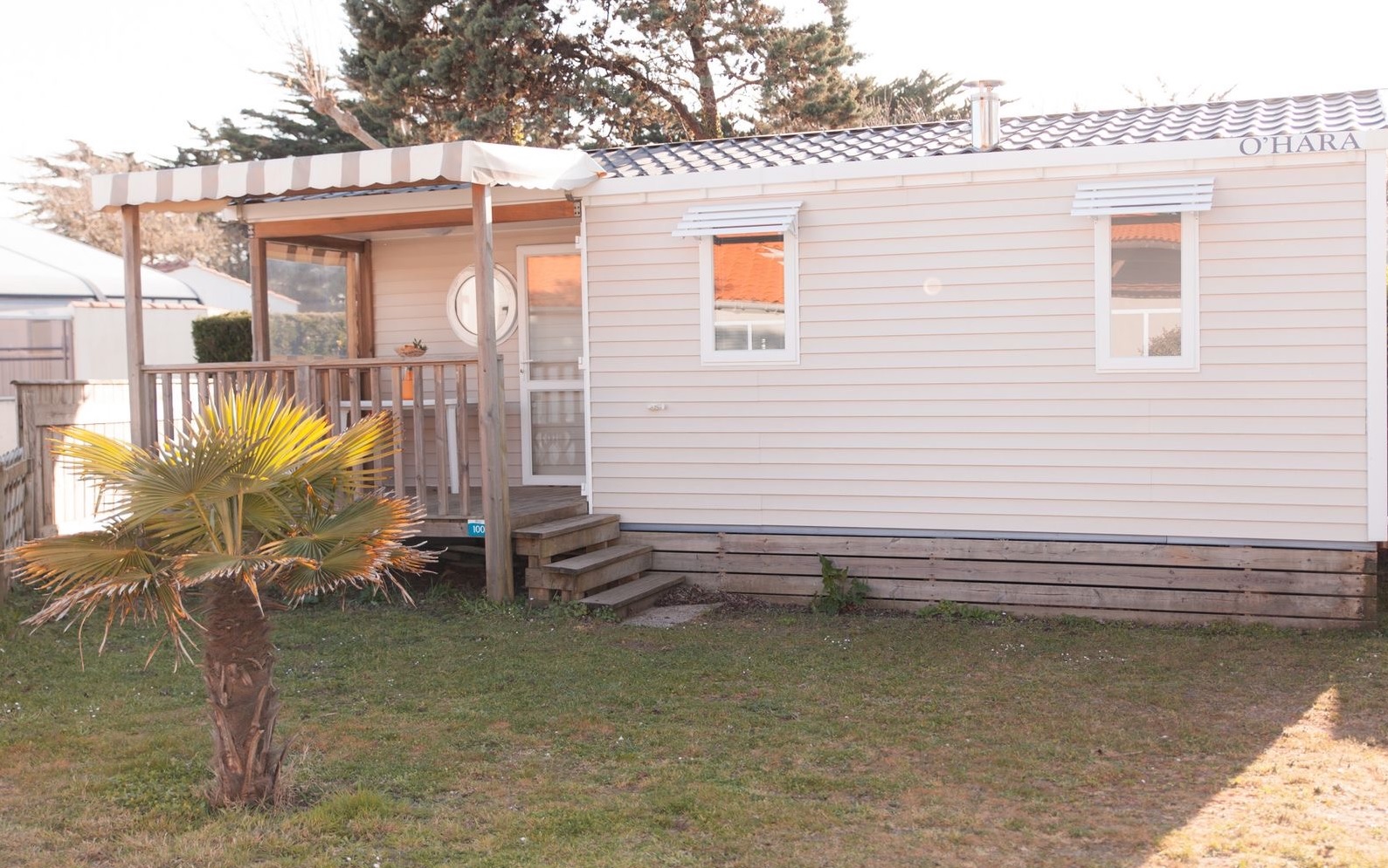 Mobil-home avec terrasse en bois et palmier.