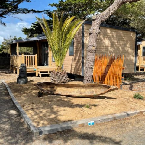 Bungalow en bois avec jardin et palmiers