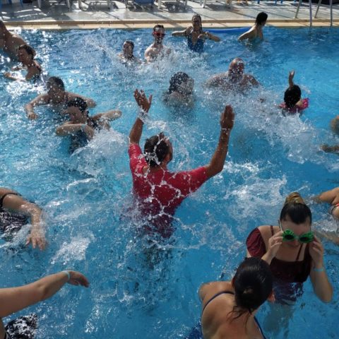 Cheerful people swimming in a sunny pool.