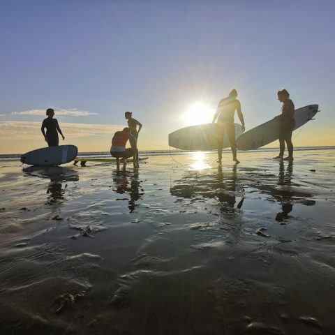 Surfers at sunset on the beach