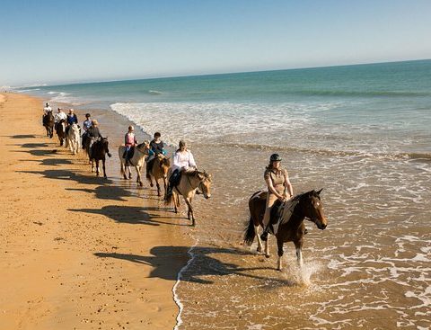 Horseback riding on a sunny beach