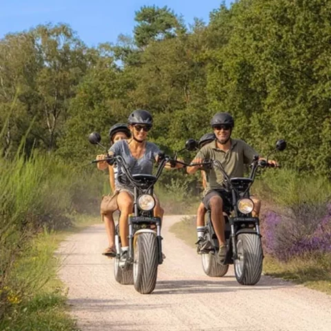 E-bike ride in the forest