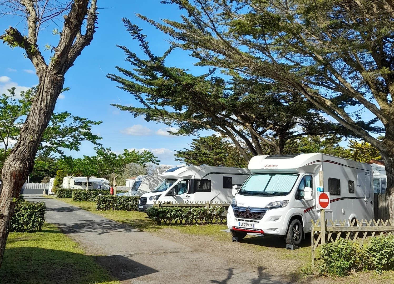 Camping-car stationnés sous les arbres au camping.