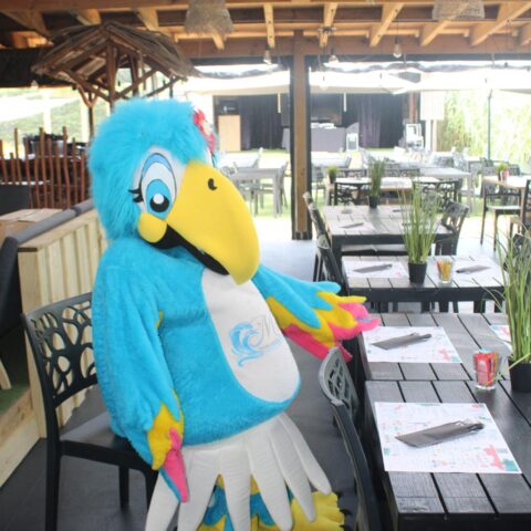 whatsapp image 2026 01 16 at 14.51.03