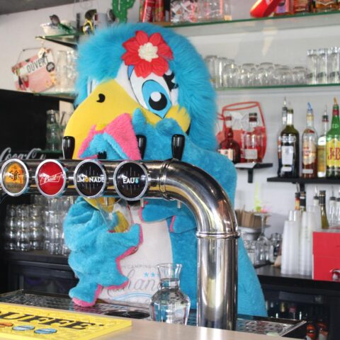 whatsapp image 2026 01 16 at 14.51.04 (1)