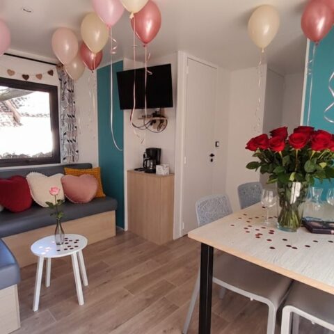 whatsapp image 2026 02 13 at 16.05.44 (3)