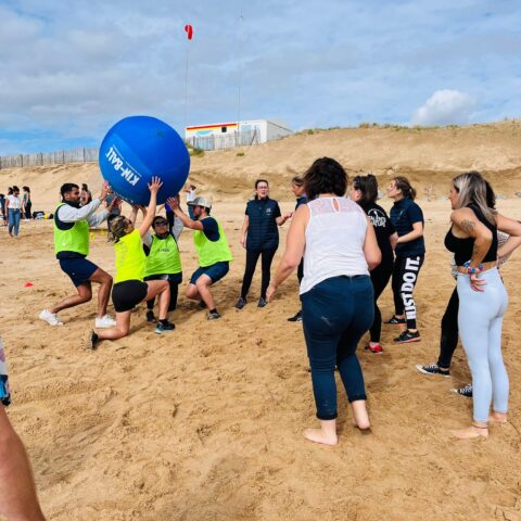 whatsapp image 2026 02 16 at 10.26.25