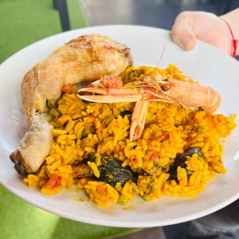 whatsapp image 2026 02 16 at 10.26.28 (1)