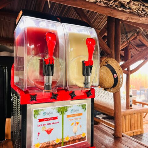 whatsapp image 2026 02 16 at 10.26.28 (2)