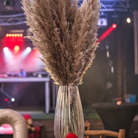 whatsapp image 2026 02 16 at 10.26.28 (4)