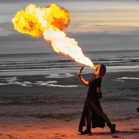 whatsapp image 2026 02 16 at 10.26.29