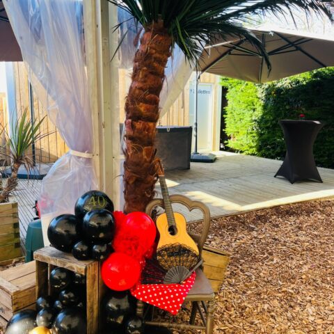 whatsapp image 2026 02 16 at 10.26.31 (2)